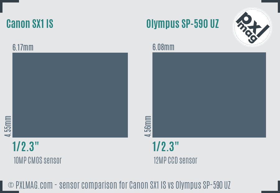 Canon SX1 IS vs Olympus SP-590 UZ sensor size comparison