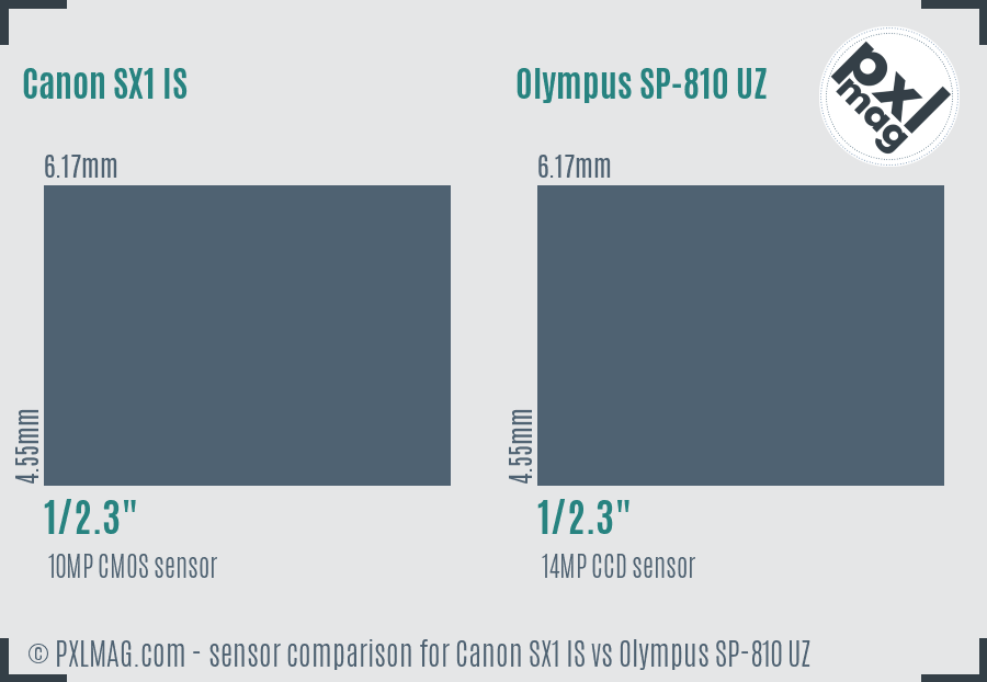 Canon SX1 IS vs Olympus SP-810 UZ sensor size comparison