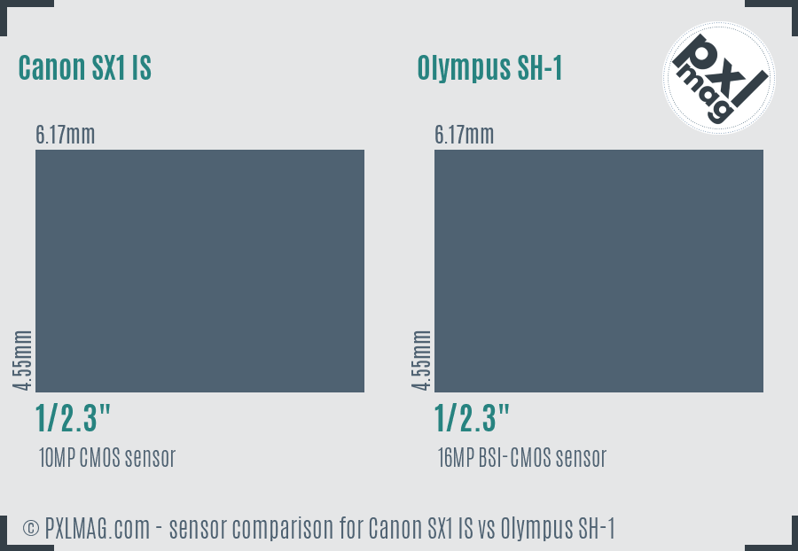 Canon SX1 IS vs Olympus SH-1 sensor size comparison
