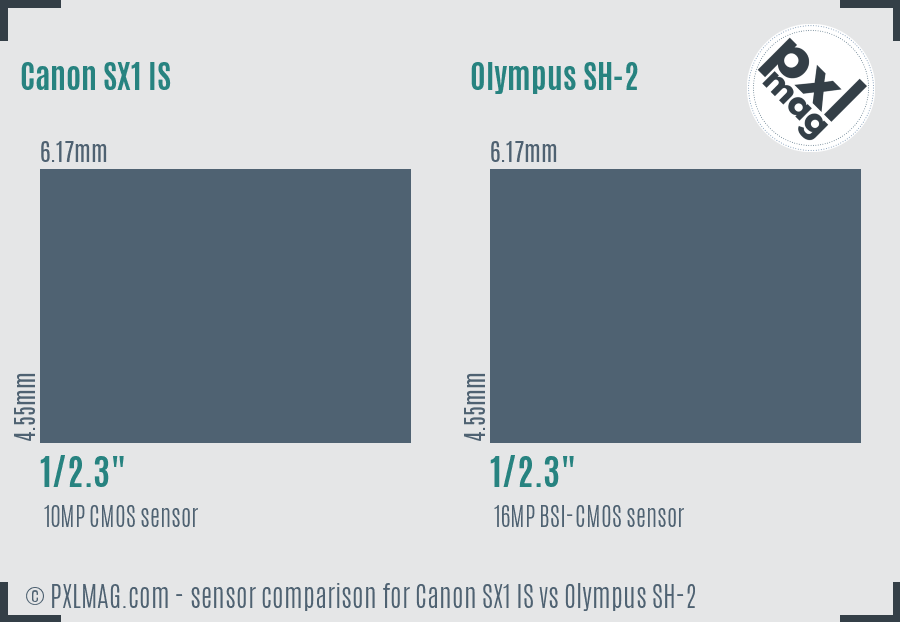 Canon SX1 IS vs Olympus SH-2 sensor size comparison