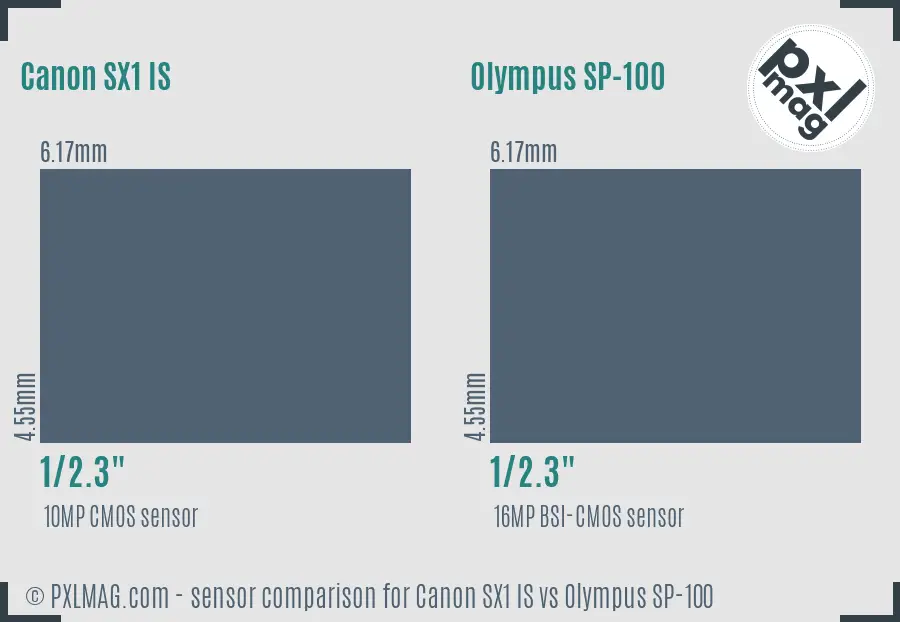 Canon SX1 IS vs Olympus SP-100 sensor size comparison