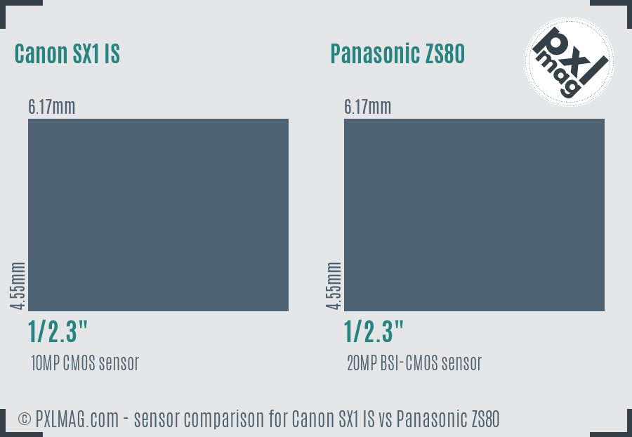 Canon SX1 IS vs Panasonic ZS80 sensor size comparison