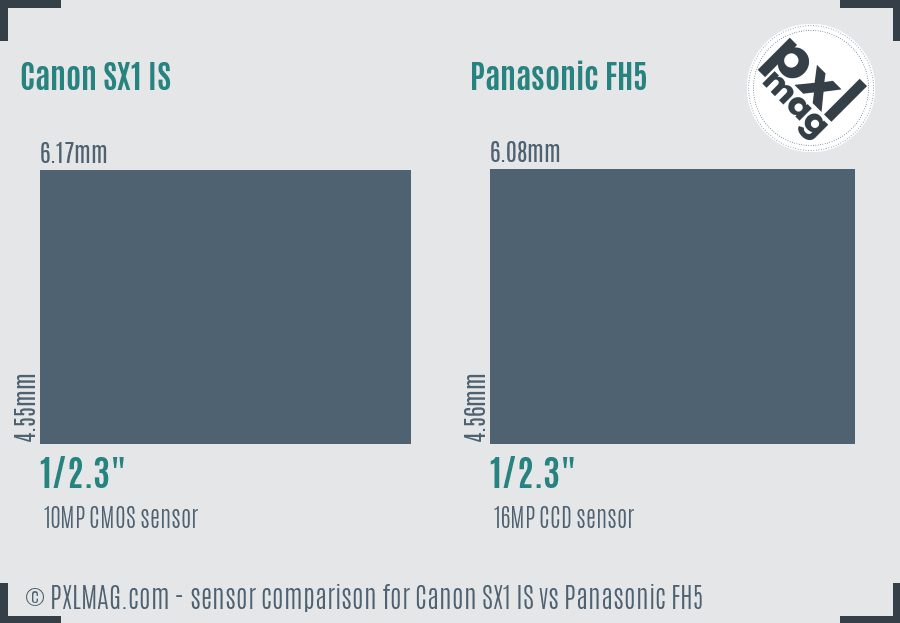 Canon SX1 IS vs Panasonic FH5 sensor size comparison