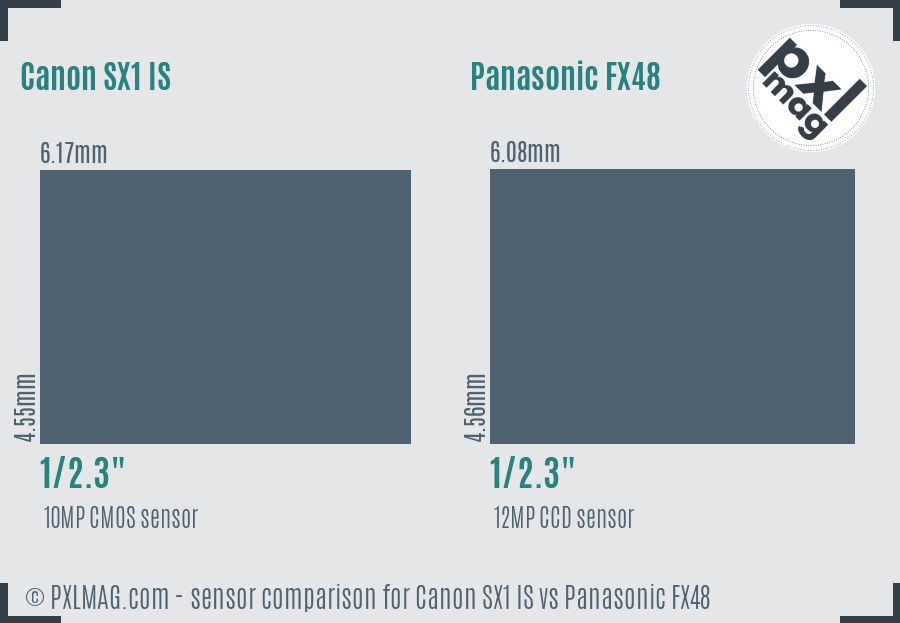 Canon SX1 IS vs Panasonic FX48 sensor size comparison