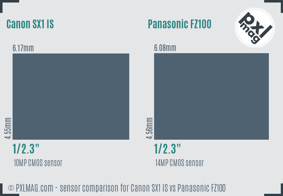 Canon SX1 IS vs Panasonic FZ100 sensor size comparison