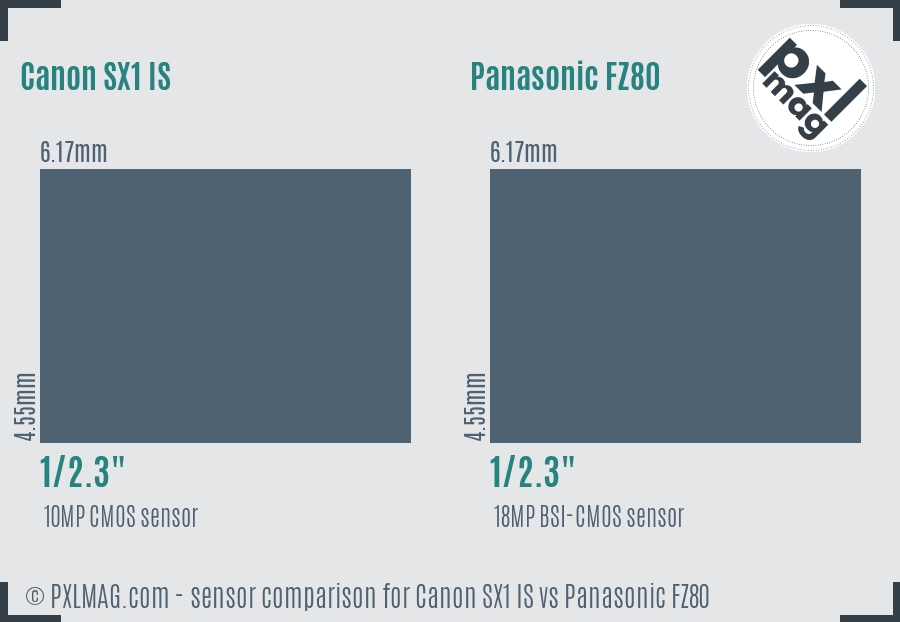 Canon SX1 IS vs Panasonic FZ80 sensor size comparison