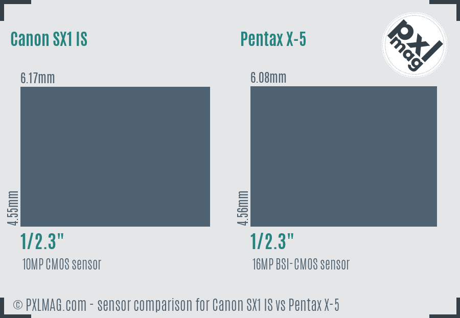 Canon SX1 IS vs Pentax X-5 sensor size comparison Canon SX1 IS vs Pentax X-5 sensor size comparison