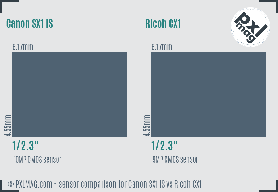 Canon SX1 IS vs Ricoh CX1 sensor size comparison