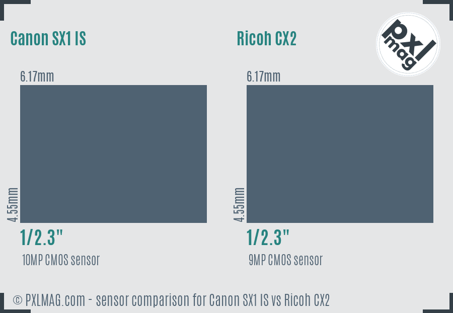 Canon SX1 IS vs Ricoh CX2 sensor size comparison