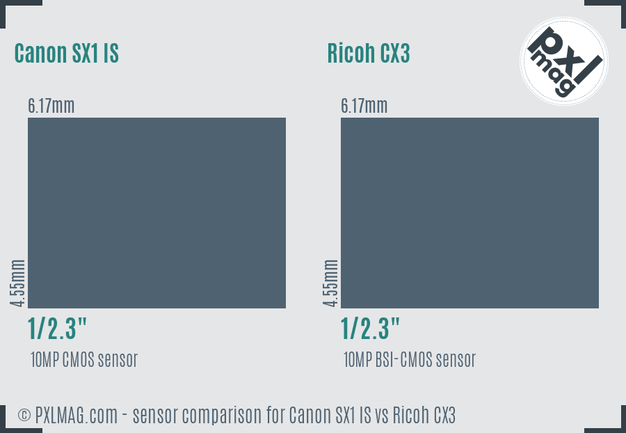 Canon SX1 IS vs Ricoh CX3 sensor size comparison