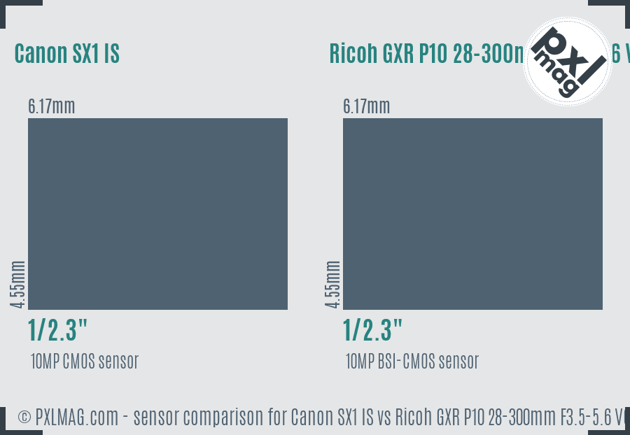 Canon SX1 IS vs Ricoh GXR P10 28-300mm F3.5-5.6 VC sensor size comparison
