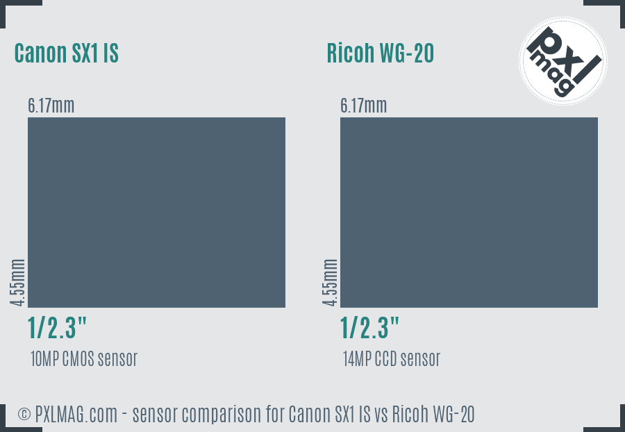 Canon SX1 IS vs Ricoh WG-20 sensor size comparison