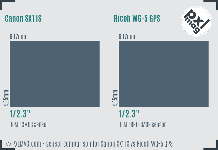 Canon SX1 IS vs Ricoh WG-5 GPS sensor size comparison Canon SX1 IS vs Ricoh WG-5 GPS sensor size comparison