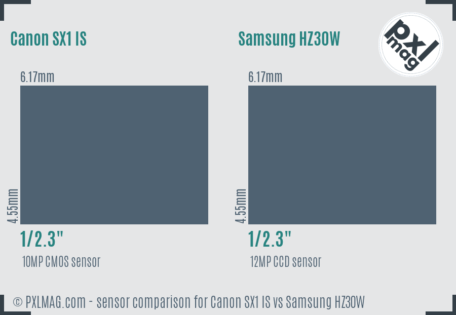 Canon SX1 IS vs Samsung HZ30W sensor size comparison
