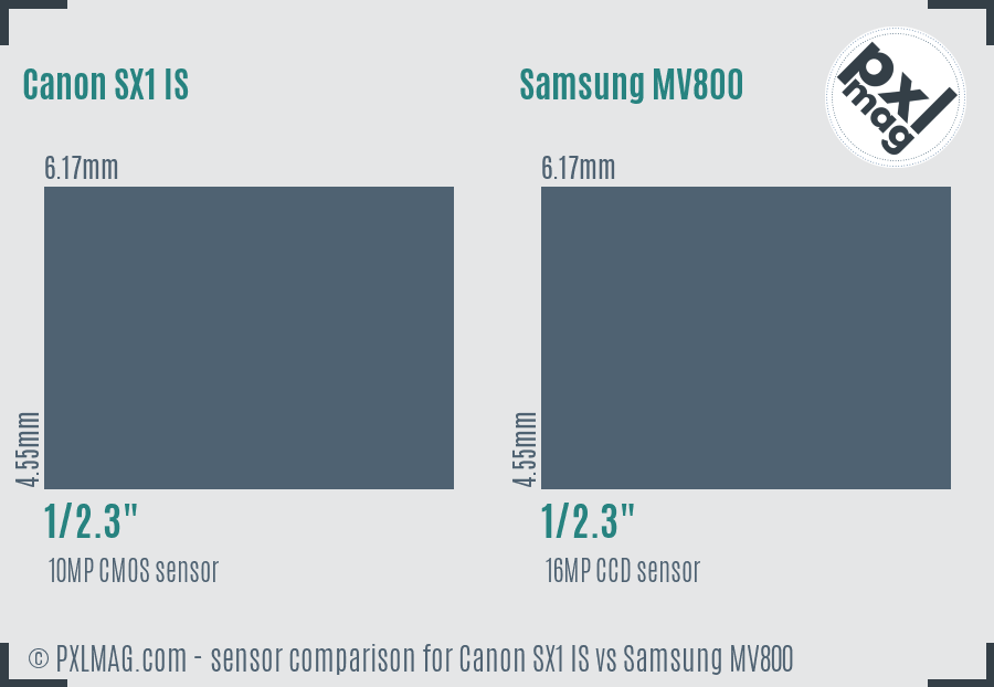 Canon SX1 IS vs Samsung MV800 sensor size comparison Canon SX1 IS vs Samsung MV800 sensor size comparison