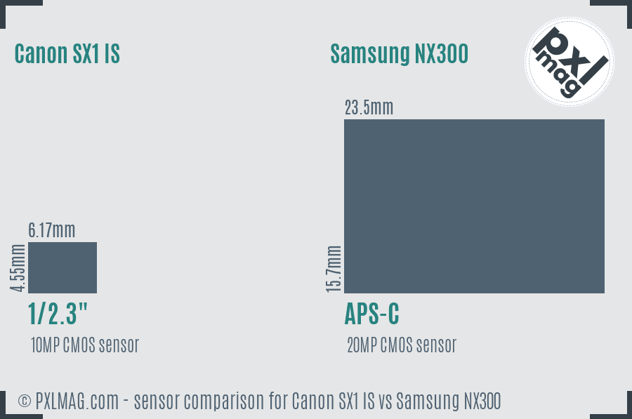 Canon SX1 IS vs Samsung NX300 sensor size comparison