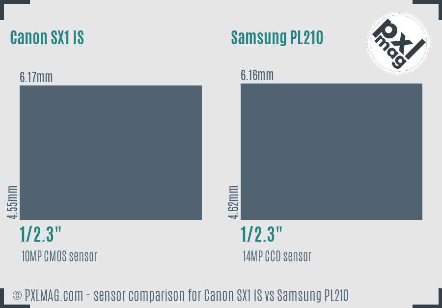 Canon SX1 IS vs Samsung PL210 sensor size comparison