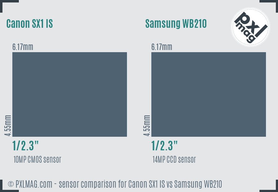 Canon SX1 IS vs Samsung WB210 sensor size comparison
