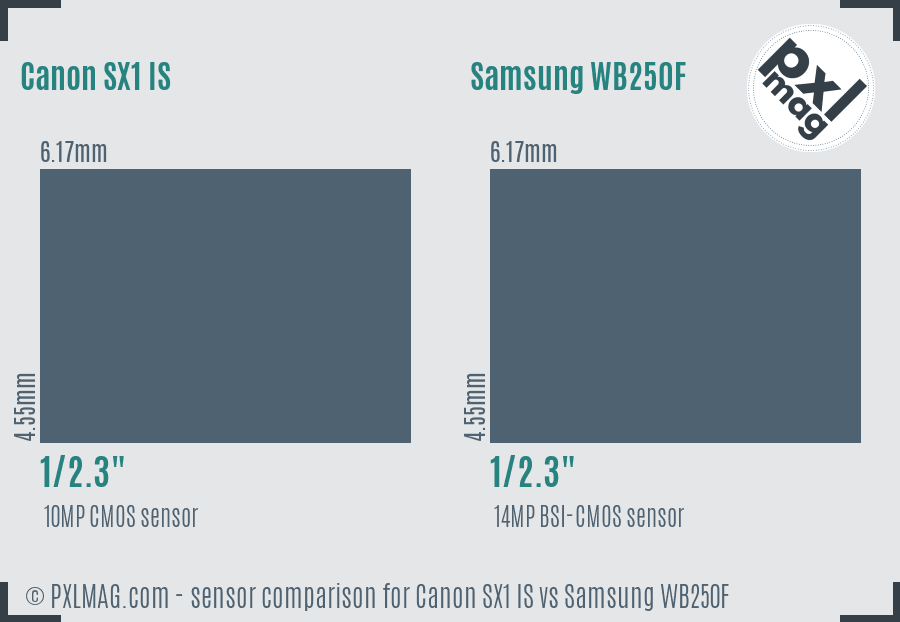 Canon SX1 IS vs Samsung WB250F sensor size comparison