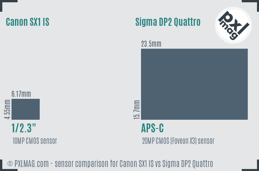 Canon SX1 IS vs Sigma DP2 Quattro sensor size comparison