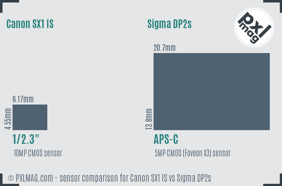 Canon SX1 IS vs Sigma DP2s sensor size comparison