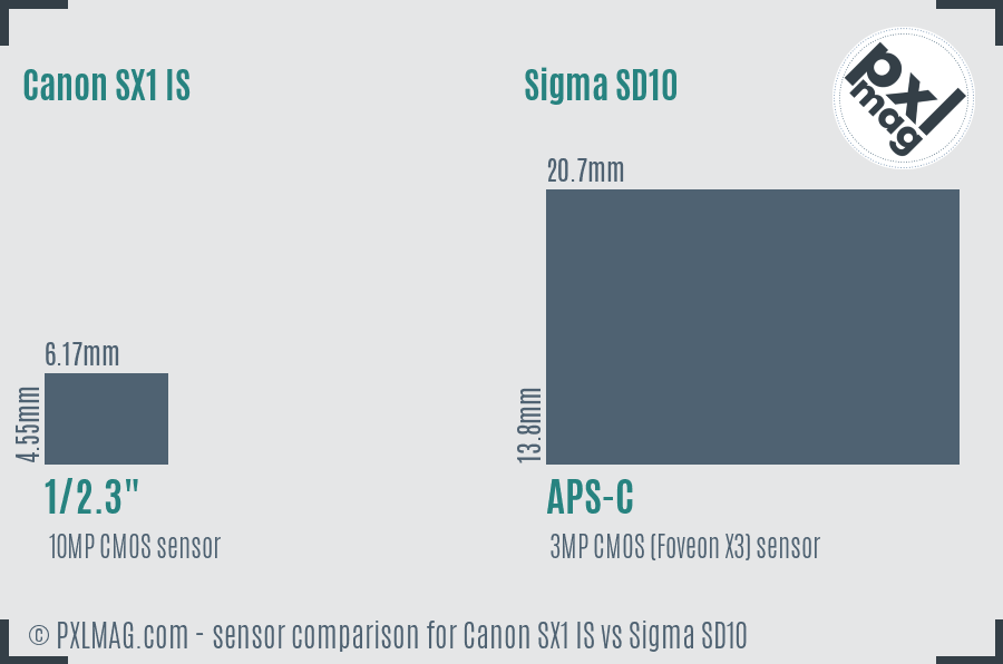 Canon SX1 IS vs Sigma SD10 sensor size comparison Canon SX1 IS vs Sigma SD10 sensor size comparison