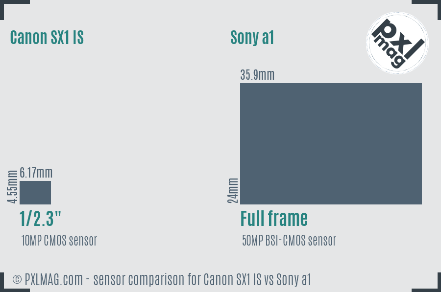 Canon SX1 IS vs Sony a1 sensor size comparison Canon SX1 IS vs Sony a1 sensor size comparison