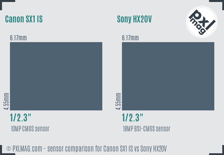 Canon SX1 IS vs Sony HX20V sensor size comparison