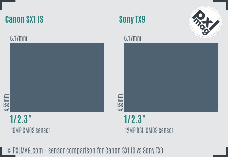 Canon SX1 IS vs Sony TX9 sensor size comparison