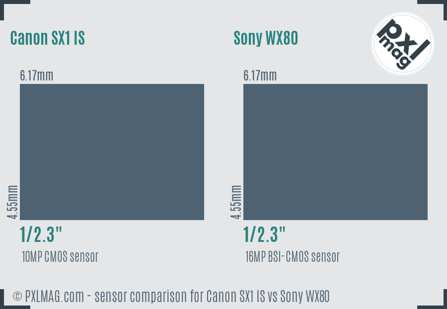 Canon SX1 IS vs Sony WX80 sensor size comparison Canon SX1 IS vs Sony WX80 sensor size comparison