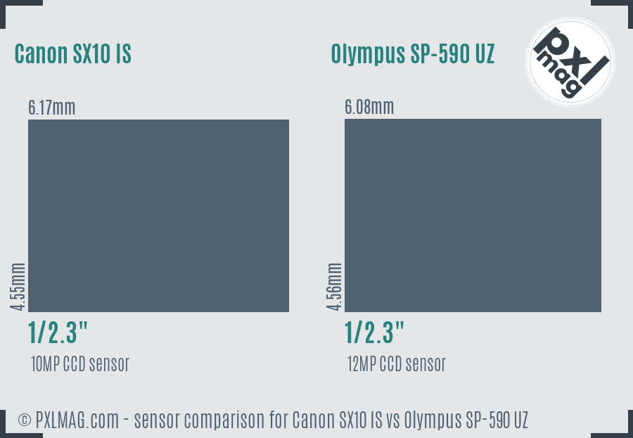 Canon SX10 IS vs Olympus SP-590 UZ sensor size comparison