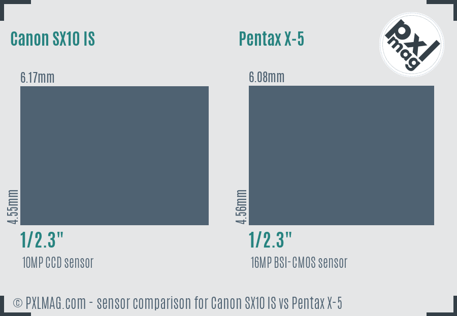 Canon SX10 IS vs Pentax X-5 sensor size comparison