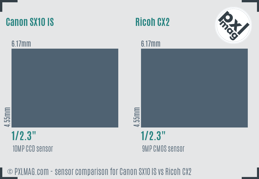 Canon SX10 IS vs Ricoh CX2 sensor size comparison