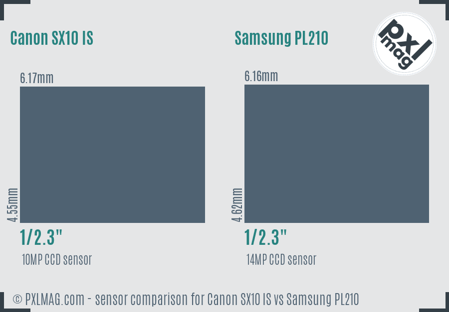 Canon SX10 IS vs Samsung PL210 sensor size comparison Canon SX10 IS vs Samsung PL210 sensor size comparison