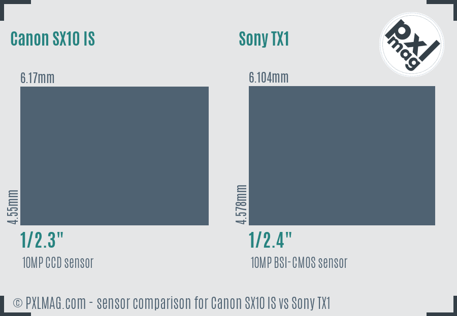 Canon SX10 IS vs Sony TX1 sensor size comparison Canon SX10 IS vs Sony TX1 sensor size comparison