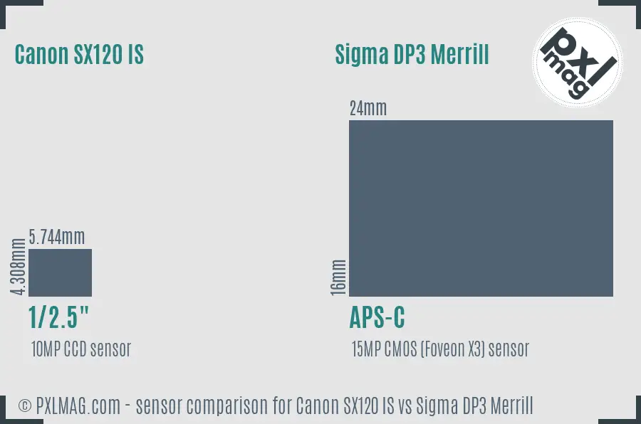 Canon SX120 IS vs Sigma DP3 Merrill sensor size comparison