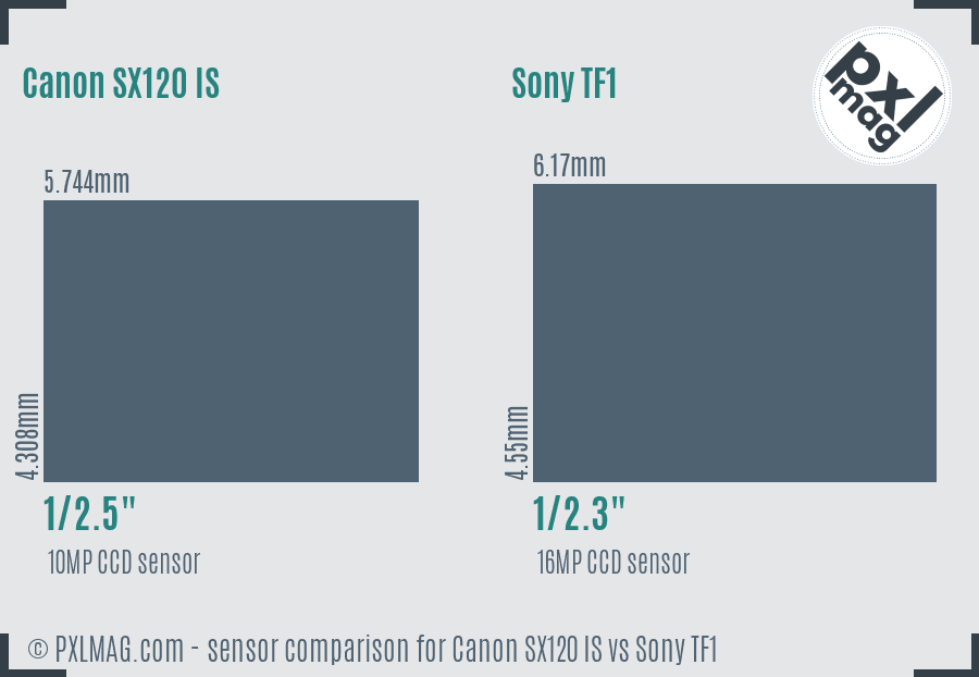 Canon SX120 IS vs Sony TF1 sensor size comparison