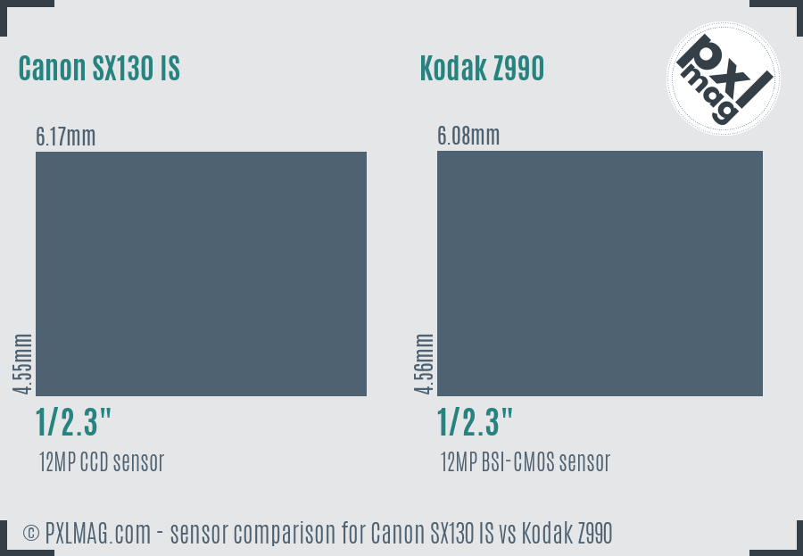 Canon SX130 IS vs Kodak Z990 sensor size comparison