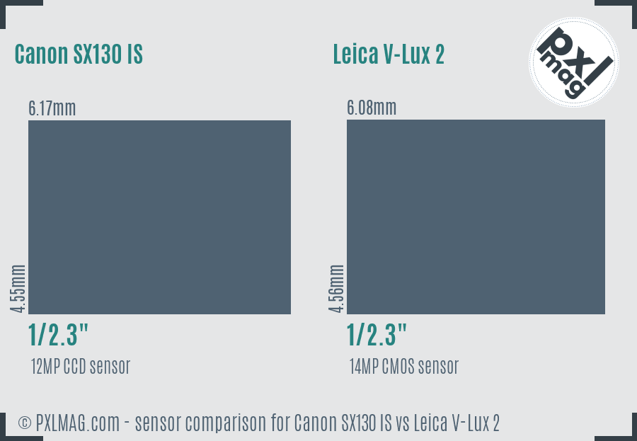 Canon SX130 IS vs Leica V-Lux 2 sensor size comparison