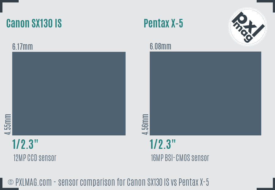 Canon SX130 IS vs Pentax X-5 sensor size comparison