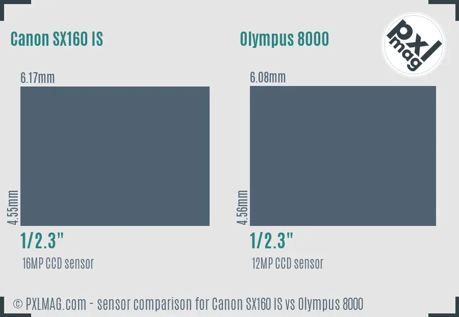 Canon SX160 IS vs Olympus 8000 sensor size comparison Canon SX160 IS vs Olympus 8000 sensor size comparison