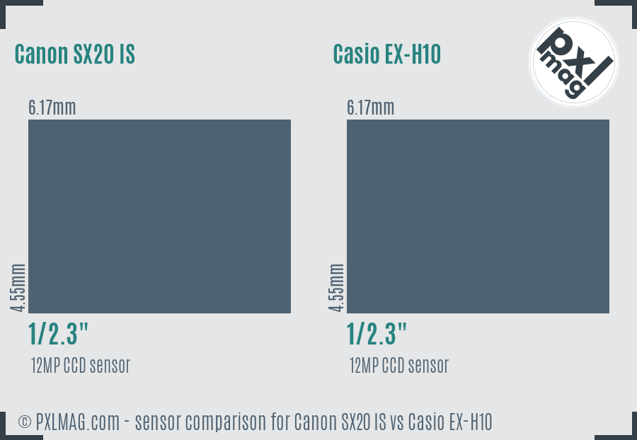 Canon SX20 IS vs Casio EX-H10 sensor size comparison