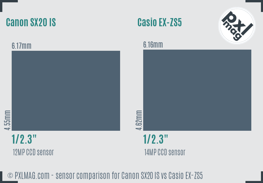 Canon SX20 IS vs Casio EX-ZS5 sensor size comparison
