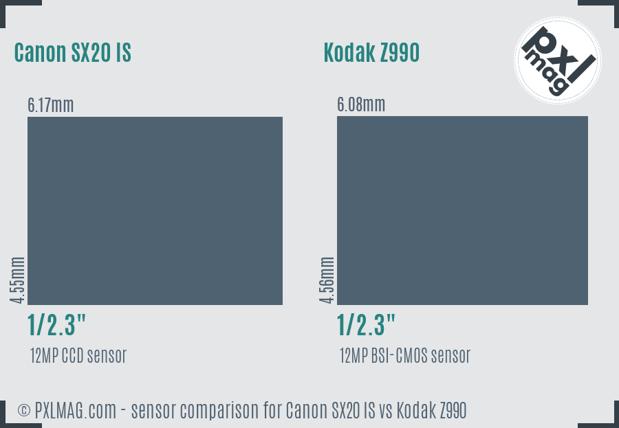 Canon SX20 IS vs Kodak Z990 sensor size comparison Canon SX20 IS vs Kodak Z990 sensor size comparison