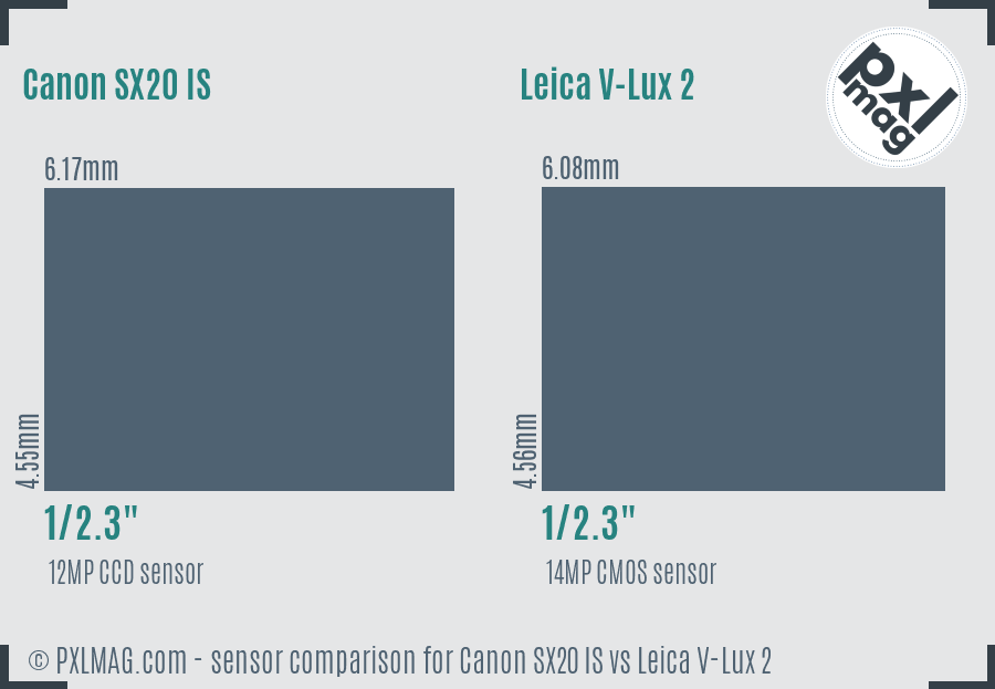 Canon SX20 IS vs Leica V-Lux 2 sensor size comparison