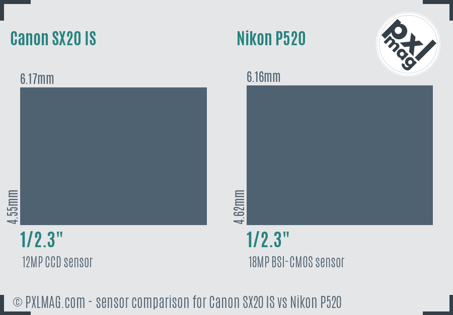 Canon SX20 IS vs Nikon P520 sensor size comparison