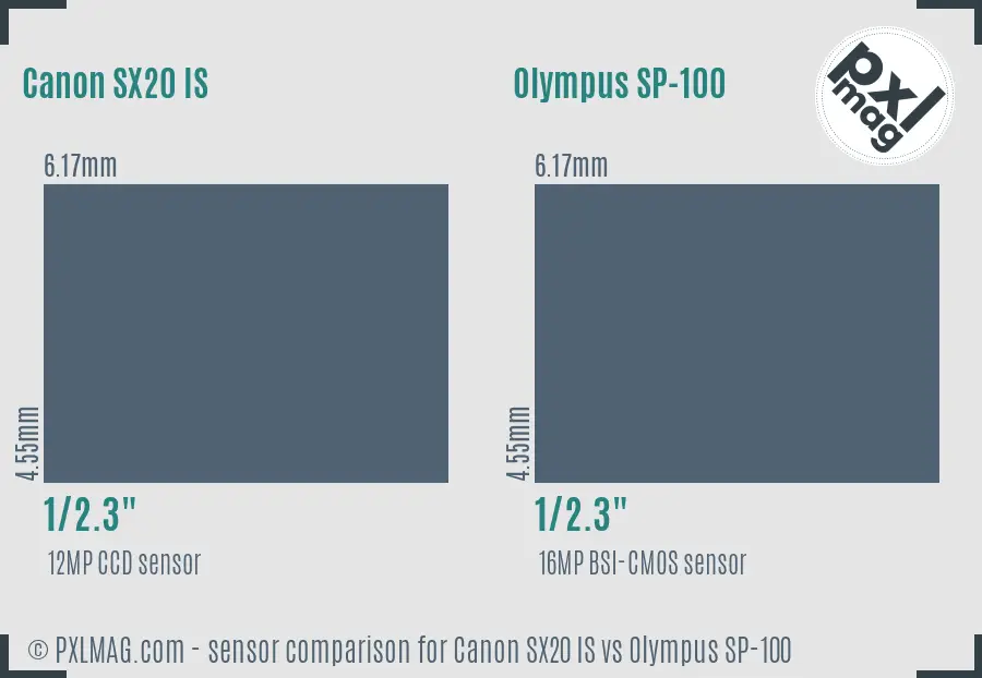 Canon SX20 IS vs Olympus SP-100 sensor size comparison