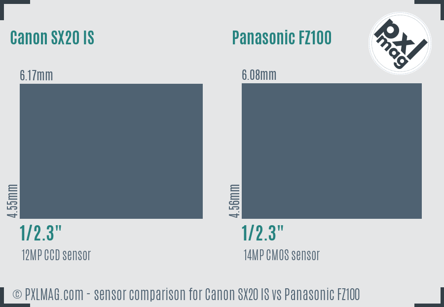 Canon SX20 IS vs Panasonic FZ100 sensor size comparison