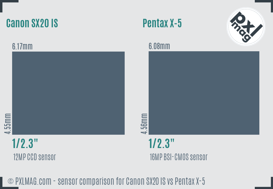 Canon SX20 IS vs Pentax X-5 sensor size comparison