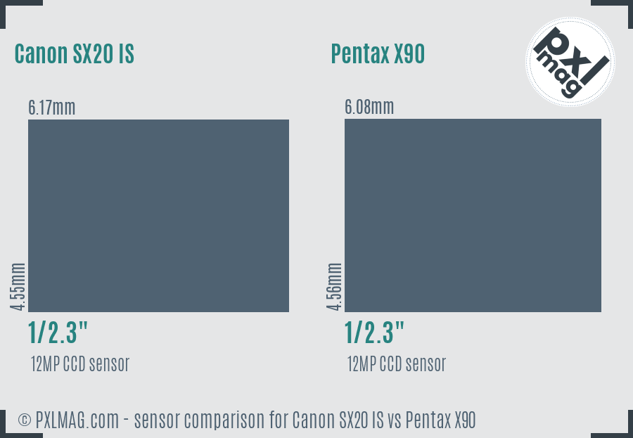 Canon SX20 IS vs Pentax X90 sensor size comparison Canon SX20 IS vs Pentax X90 sensor size comparison